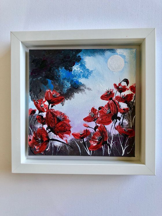 Red poppies under a blue stormy sky