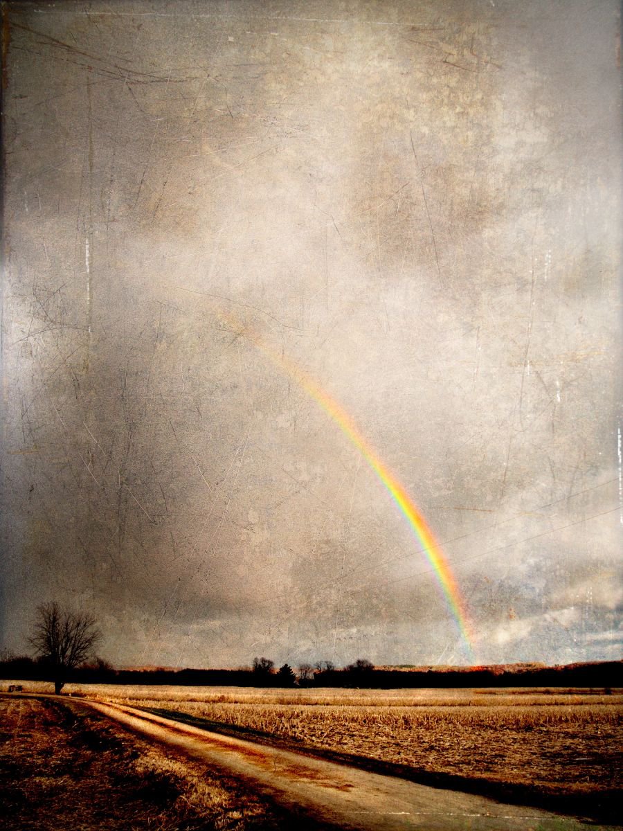 Chasing Rainbows by Robert Tolchin
