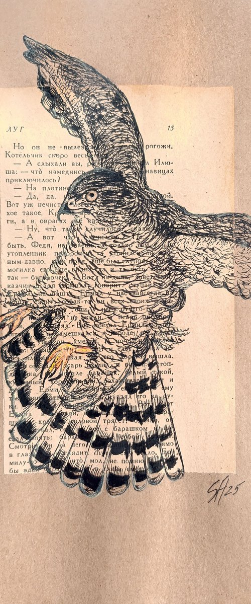 Hawk by Salana Art / Svetlana Samovarova