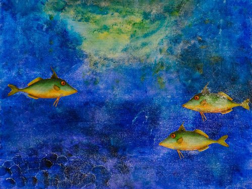 Ordinary day in a fish world II by Jovana Manigoda