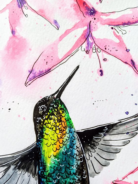 Hummingbird