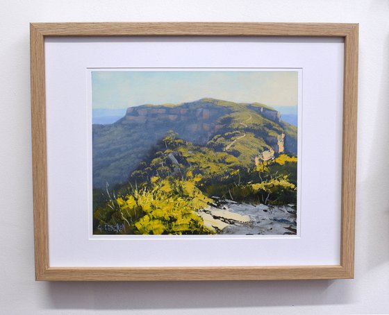 Blue Mountains landscape