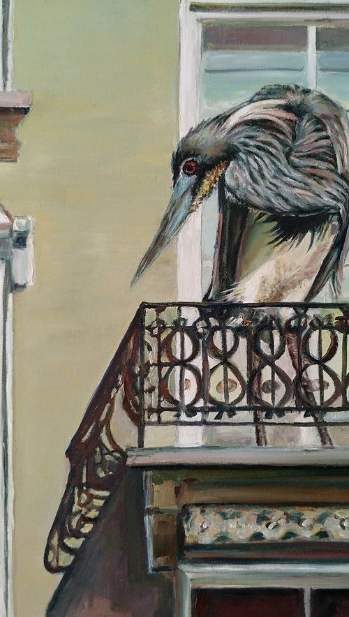 Grey Heron In Balcony by Jura Kuba Art