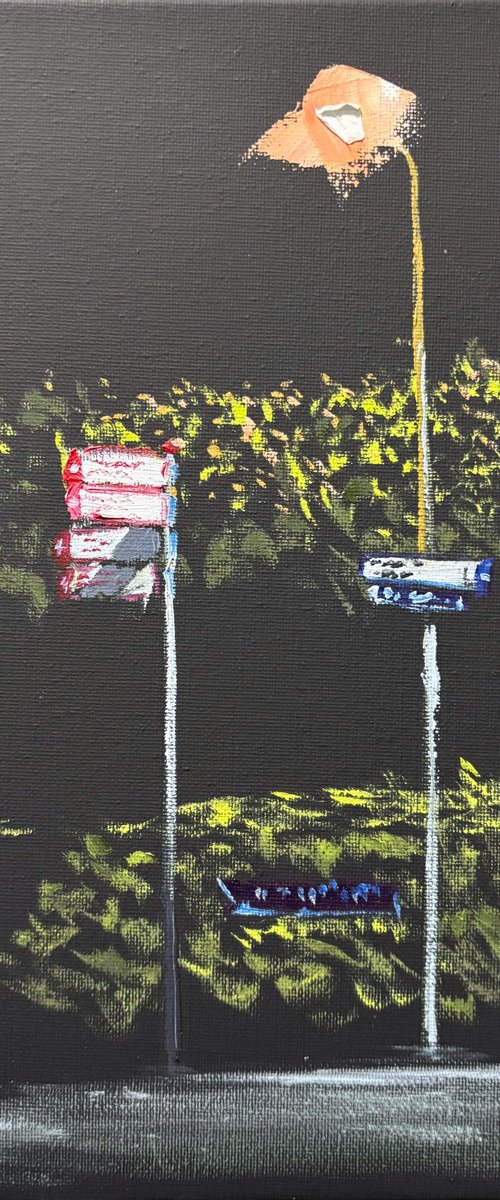 Street Signs in the Dark by Dmitry Fedorov