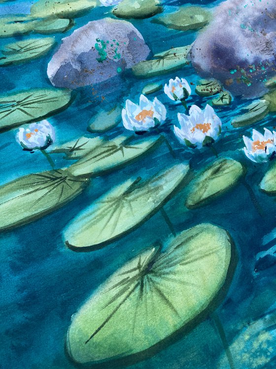 Water Lilies