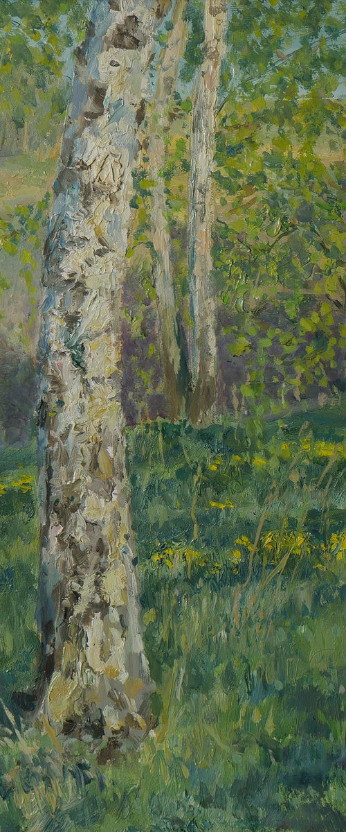 The May evening in the birch forest - landscape painting by Nikolay Dmitriev