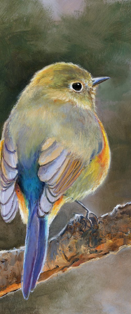Cheerful bird back portrait by Lucia Verdejo