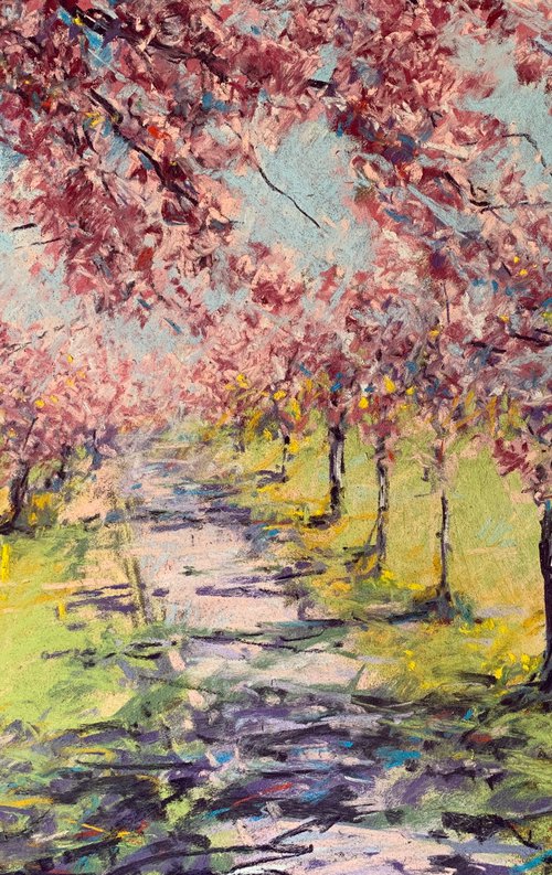 Spring Shadows by Andrew Moodie