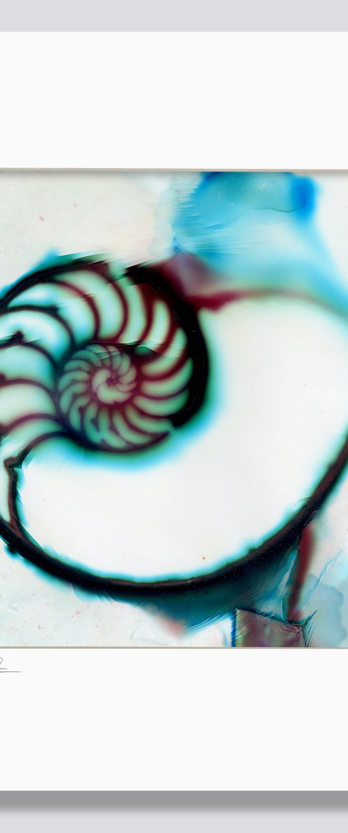 Secrets From The Deep 13 -  Mixed Media Nautilus Shell Painting by Kathy Morton Stanion by Kathy Morton Stanion