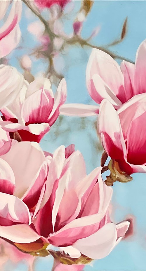 Magnolia Flowers by Alla Kallas