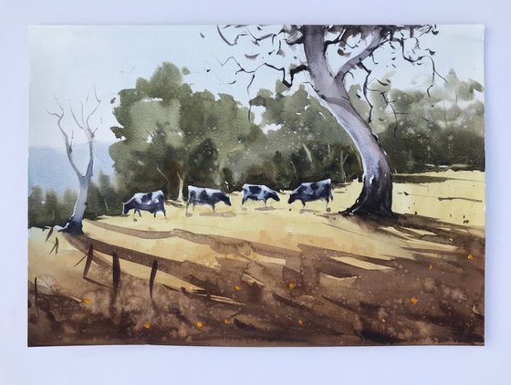 Cows Grazing in the Village Fields