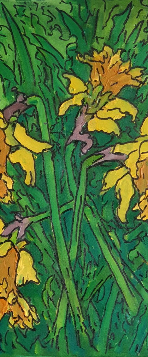 daffodils #3 by Colin Ross Jack