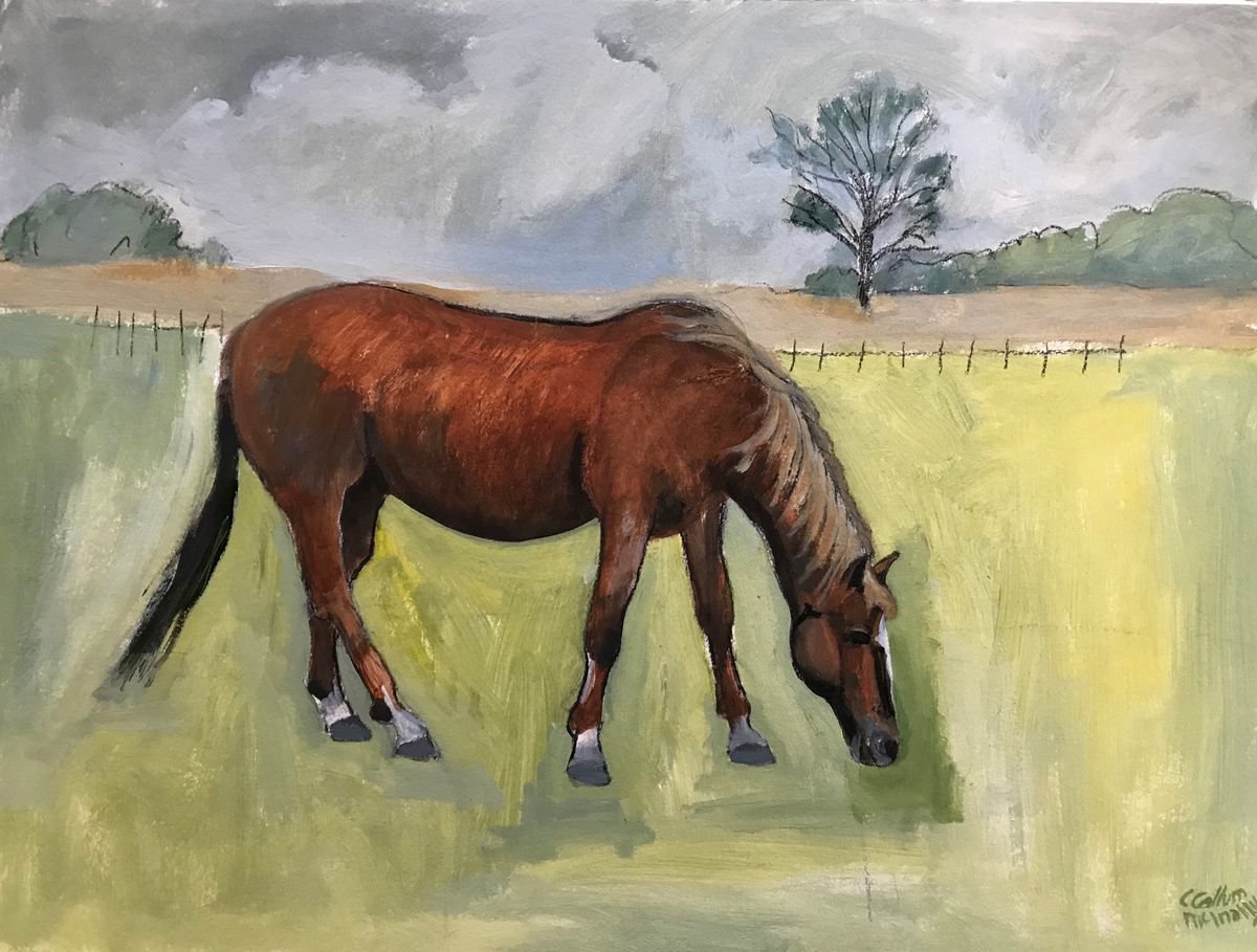 A horse with no name! by Christine Callum McInally