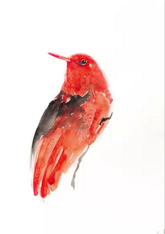 Birds