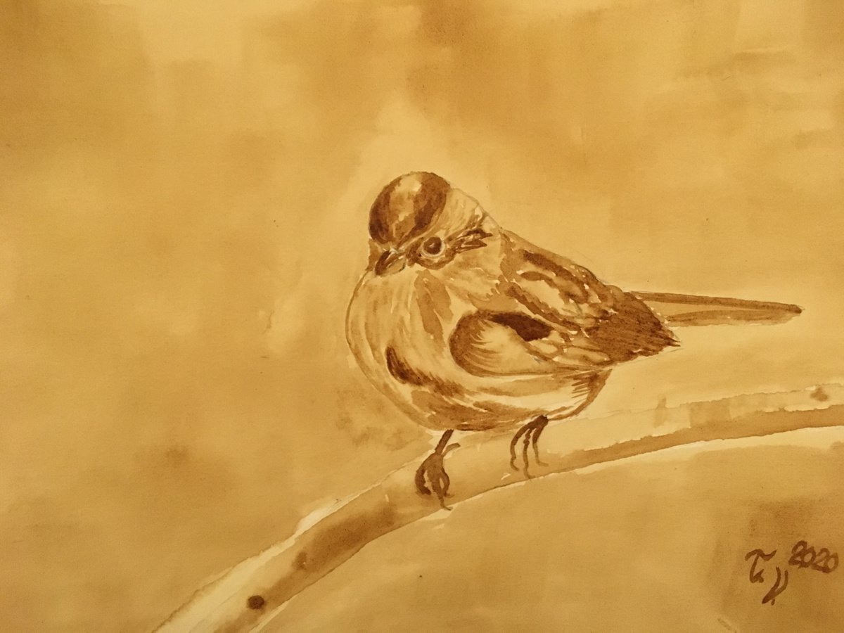 Little Sparrow by Timea Valsami