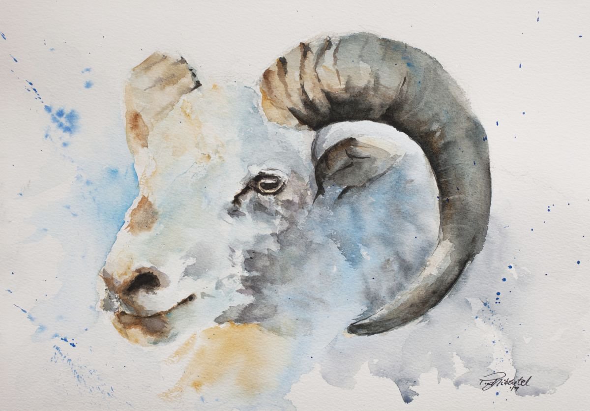 Expressive Animal Watercolour By Tomasz Mikutel, 17 X 12", Ram, Original Artwork