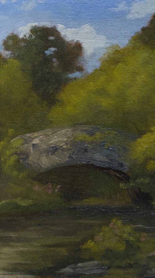 The Gapstow Bridge, Summer by Stanley Chu