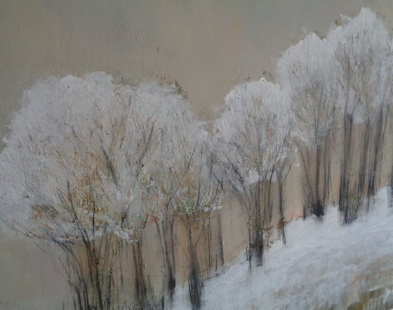 As We Made Our Way Along Winter Pathways.....