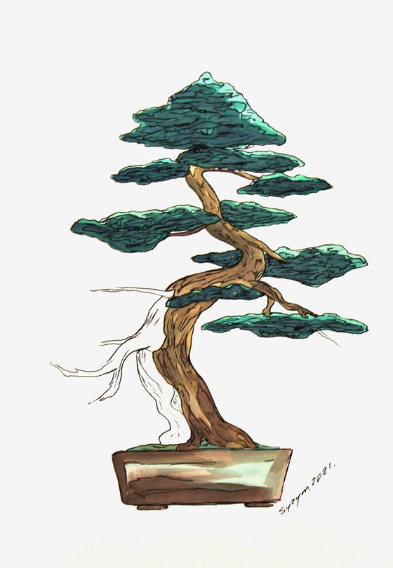 BONSAI XII