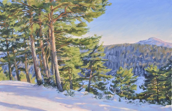 Winter afternoon on the Mézenc