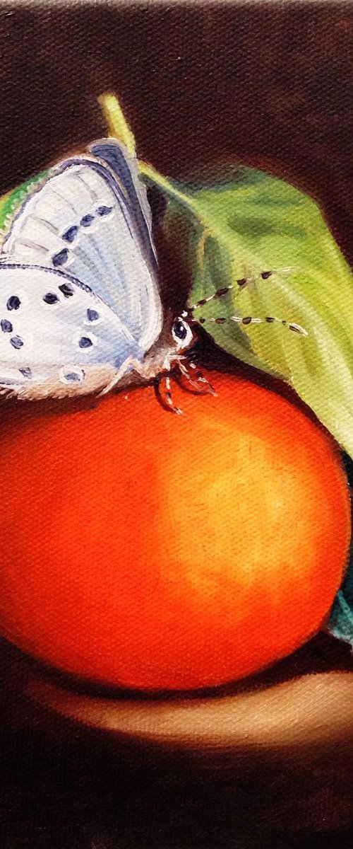 Tangerine and friends by Valentina Toma' aka Zoe Chigi