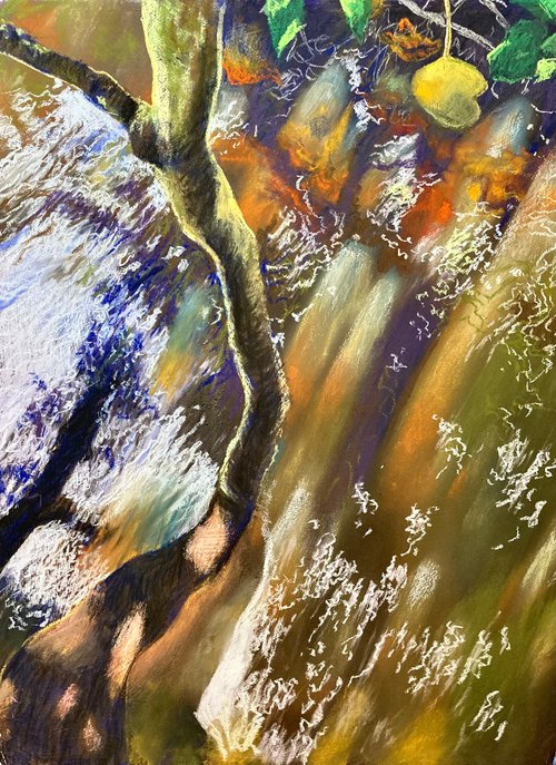 Sunlight on creek by John Cottee