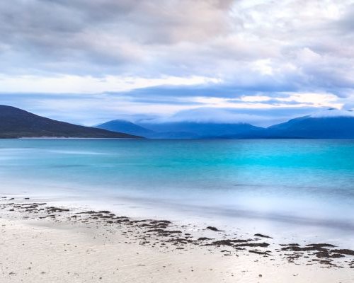 Taransay Teal, Isle of Harris by Lynne Douglas