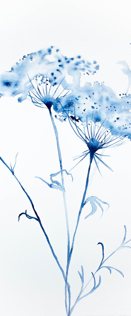 Queen Anne's Lace No. 3 by Elizabeth Becker