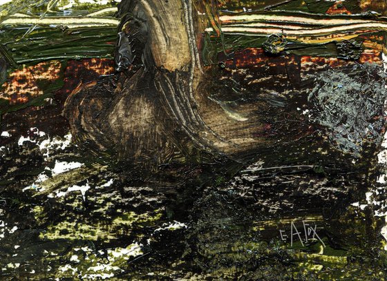 THE LOST POND