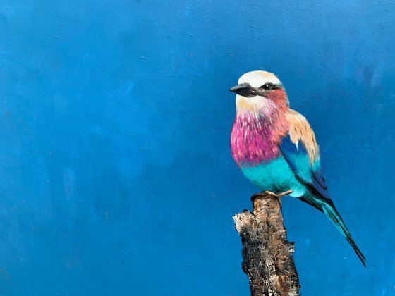 Lilac Breasted Roller ~ Under An African Sky