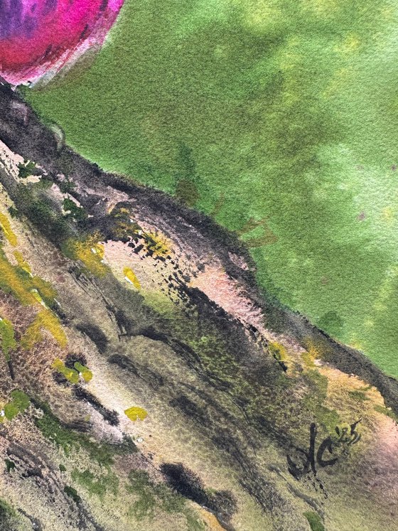 Birds: Redstart and Pink Robin