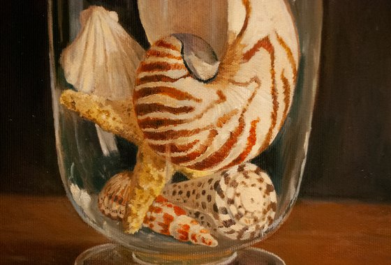 Seashells In a Glass Vase