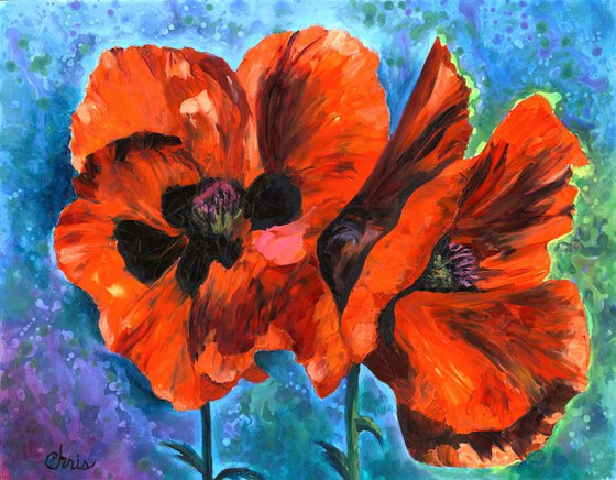 Orange Poppy Pair