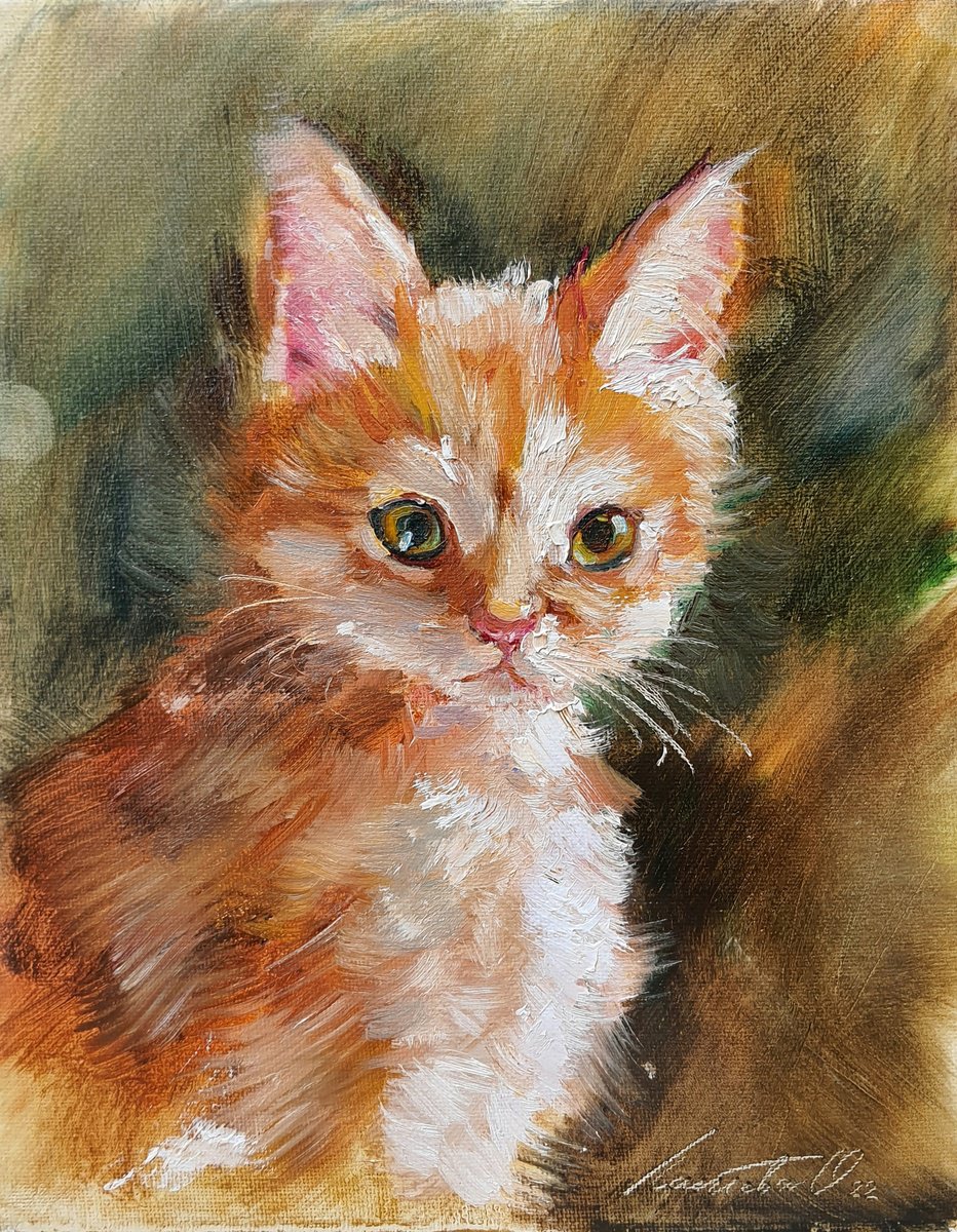 Red cat by Olha Laptieva