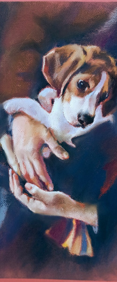 puppy by Magdalena Palega