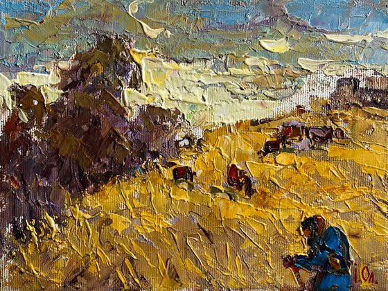 Autumn golden fields