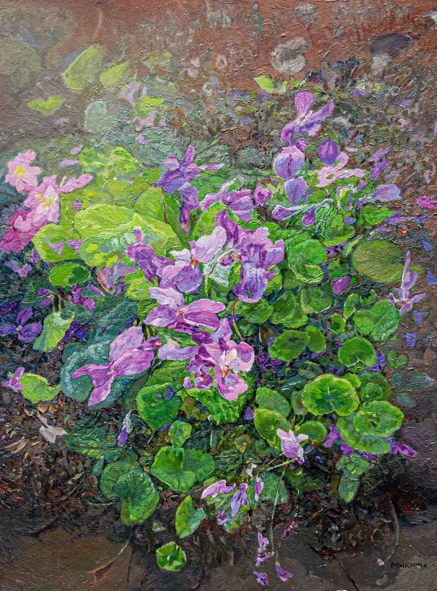 Violets... by Olga Didyk