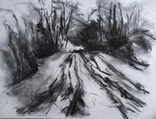 Forest Trail by Joanna Farrow