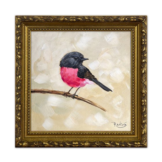 Pink Robin