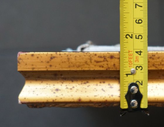 January snow on the Chertanovka River