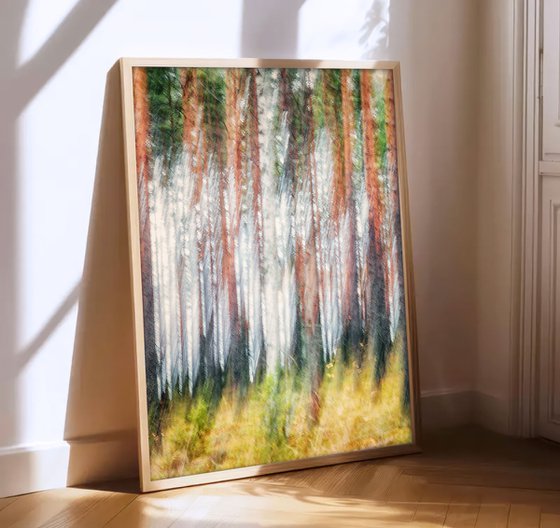 Metsä (studio 8)