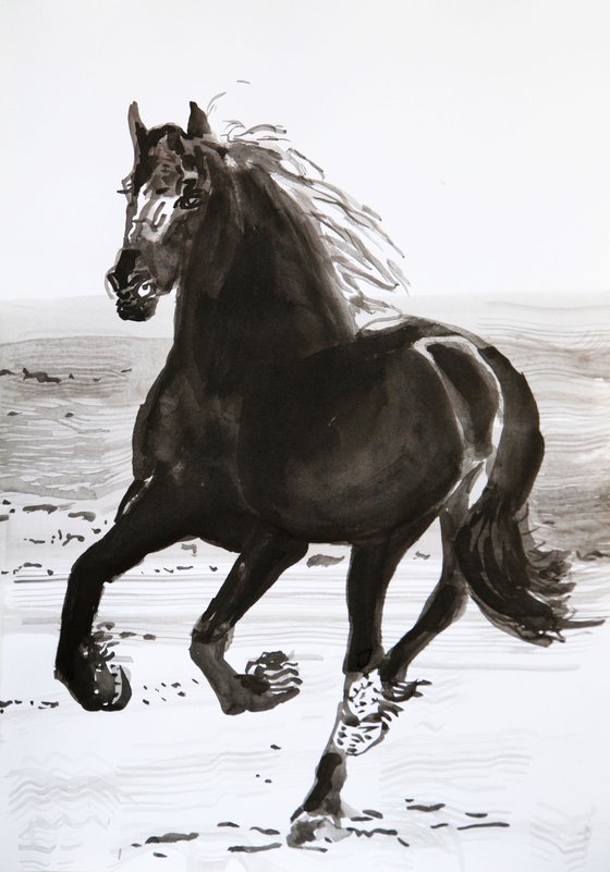 Black  horse / 42 x 29.7 cm