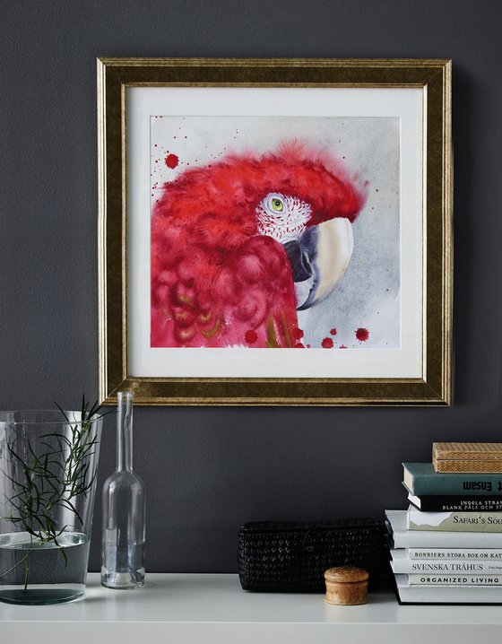 Scarlet macaw head