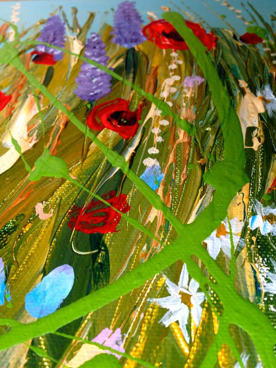 Blooming Orchestra of Poppies