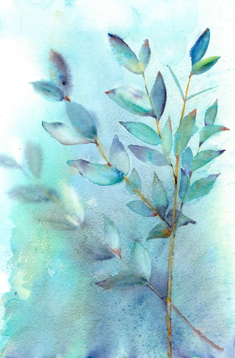 Sprigs of Eucalyptus, Original watercolour painting by Anjana Cawdell