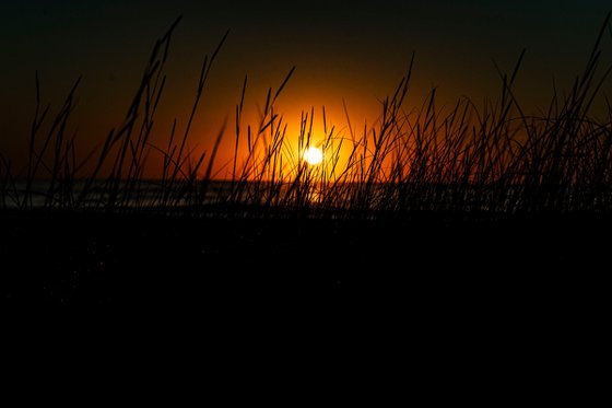 Dawn's Dune Sentinels