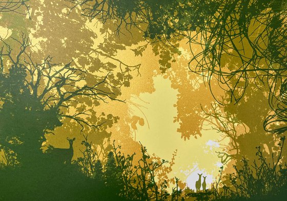 Gap in the Forest