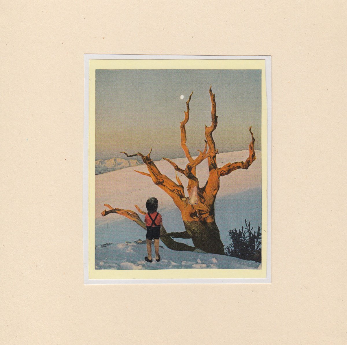 Surrealistic Portrait Collage By Jon Garbet, 7 X 7, Mistery Tree, Original Artwork