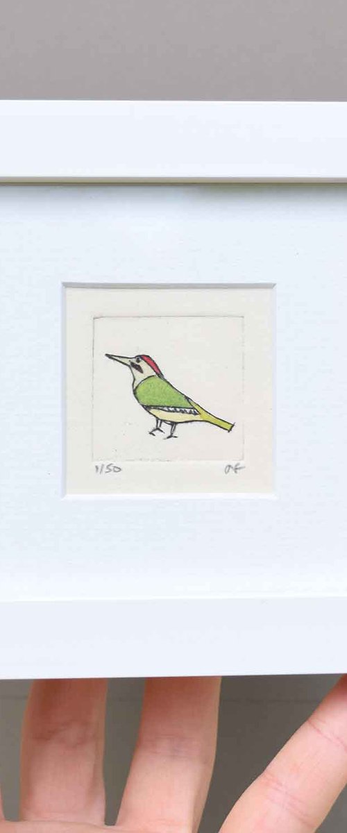 Mini framed green woodpecker by Sally Fisher