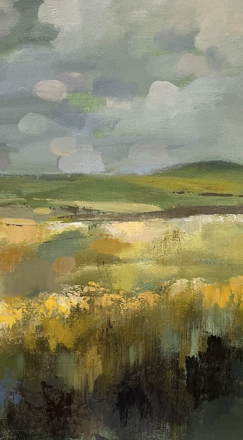 Sunlit Meadow by Silvia  Vassileva